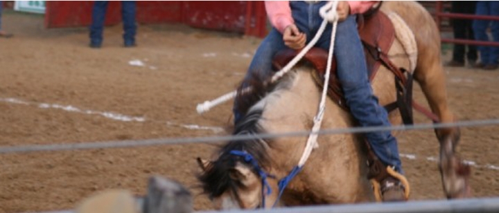 das Rodeo