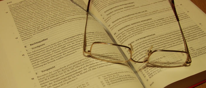 die Intelligentesten die Intelligentesten