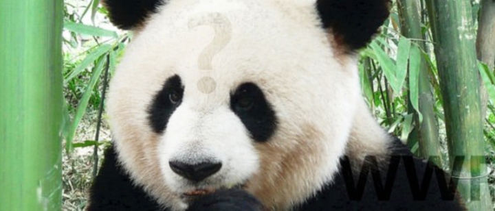 treibt der WWF ein falsches Spiel?