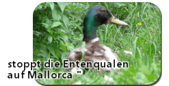 Stoppt das grausame Entenwerfen auf Mallorca !