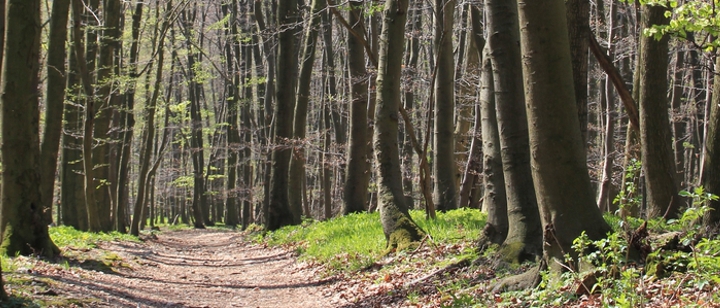 Totschlagfallen – wenn ein Spaziergang qualvoll endet