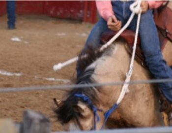 Mensch reitet unwilliges Pferd