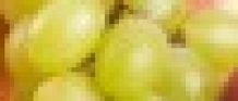 frisches Obst
