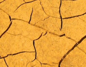 vertrocknete Savanne