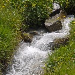 Bergquelle Bergquelle