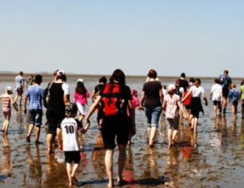 viele Menschen Rueckansicht