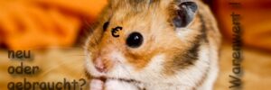 Hamster als Gegenstand