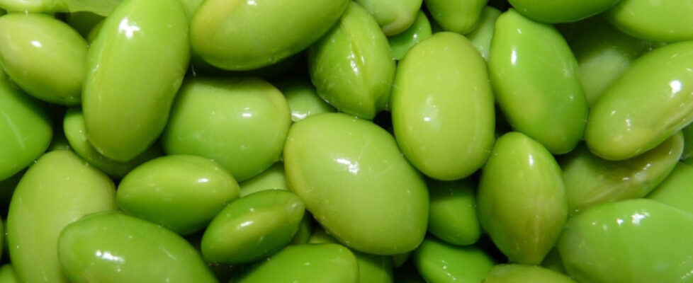 Sojabohnen