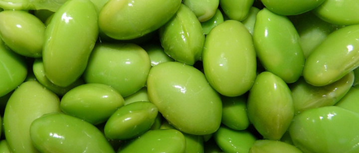 Sojabohnen