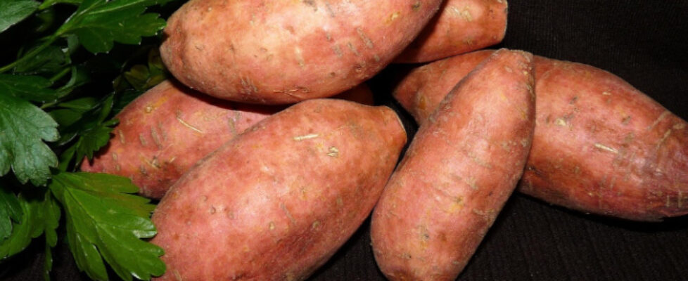 Süßkartoffeln